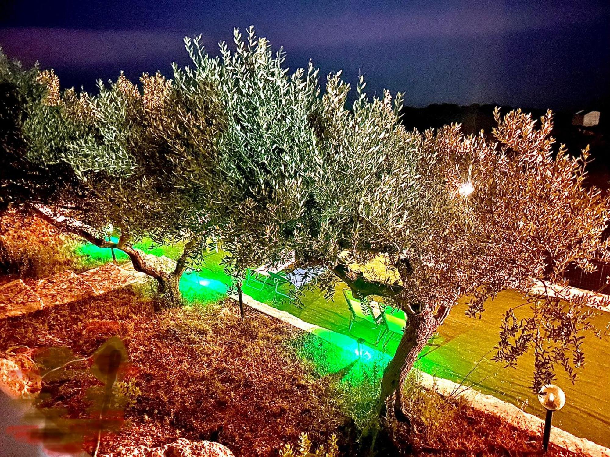 La Collina Sul Mare Bed and Breakfast Palma di Montechiaro Eksteriør billede